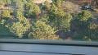 隣接する展望ロビーから眺めると、綺麗でした