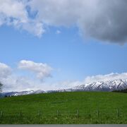 見事な一本桜が映える場所