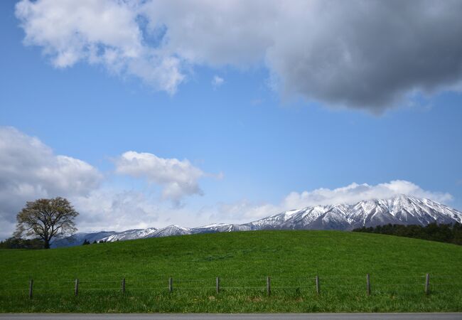 見事な一本桜が映える場所