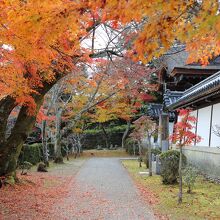 宗祖大師堂への参道