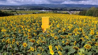 北海道立サンピラーパーク