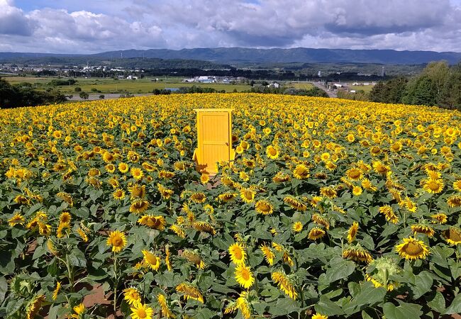 北海道立サンピラーパーク