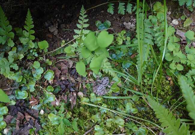 もく遊りん 食工房