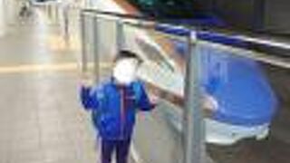 日帰りで雪の大谷へ