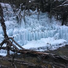 人口の流氷も目玉です