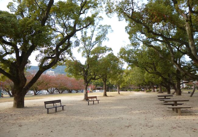 佐世保川沿いの公園