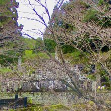 地元の方々がしっかり供養しているそうです