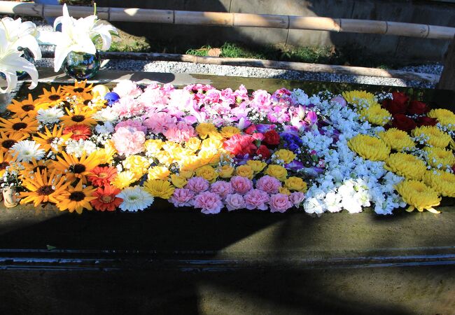 花手水が綺麗な「埼玉」の地名の語源となった神社