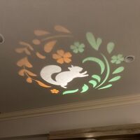 就寝時に電気を消すと天井にリスの絵が。可愛い♪