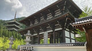 あまりにも大きな門