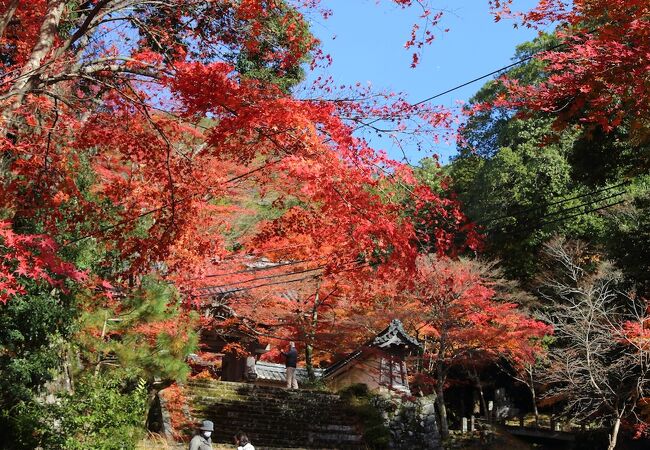 紅葉の隠れた名所