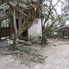 田中一村終焉の家