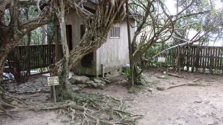 お一人で訪問しました