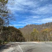 戸隠山に少し登っていた