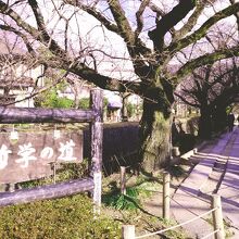 晴れた天気のいい日の散策は最高。