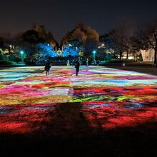 ホテルと氷川丸の間の山下公園の芝生は「ヨルノヨ」で綺麗でした