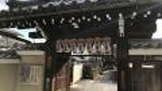 境内にある「散り椿」は、樹齢は100年以上