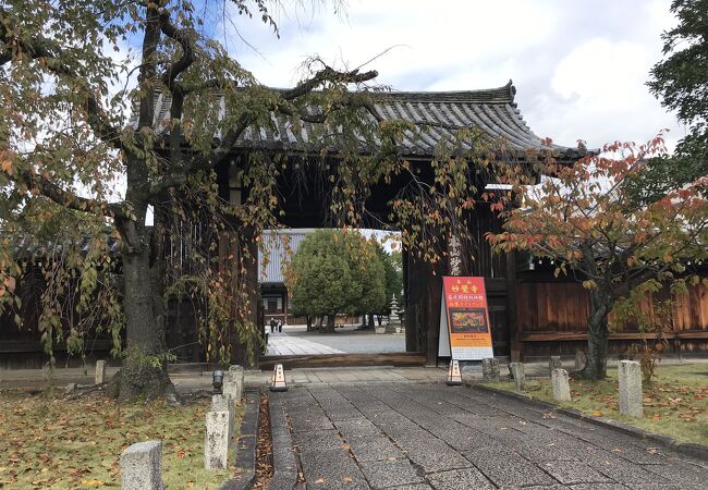 妙覚寺道場から、剣道のとても威勢のいい声