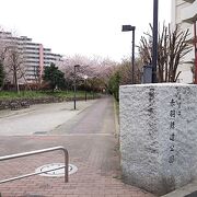 廃線となった軍用貨物の線路跡を利用して整備された細長い公園