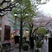 自由が丘駅前の桜並木