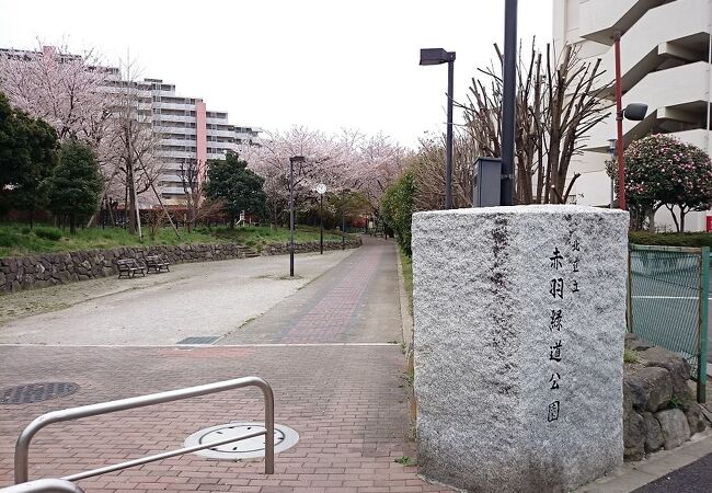 廃線となった軍用貨物の線路跡を利用して整備された細長い公園