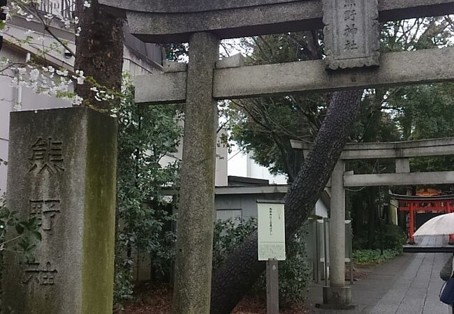 自由が丘の町中に鎮座する神社