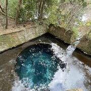 水に親しむ公園