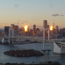 夕方には夕陽がビルに反射し輝いていました