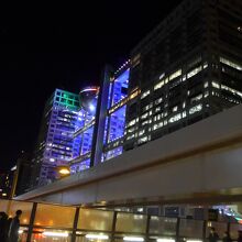 夜のフジテレビとはちたまの景色