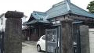 ヒマラヤ杉の近く