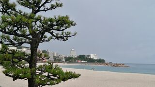 雨模様で残念