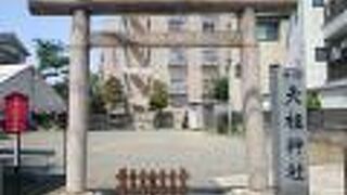 のどかな雰囲気の住宅地に鎮座する地味な印象の神社