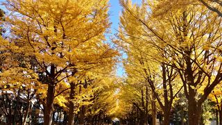 大学の博物館（あるいは北大第二農場牧舎）観光を除き、本当に訪れる価値があるのは、5月末と10月末？