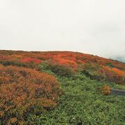 登山でも観光でも