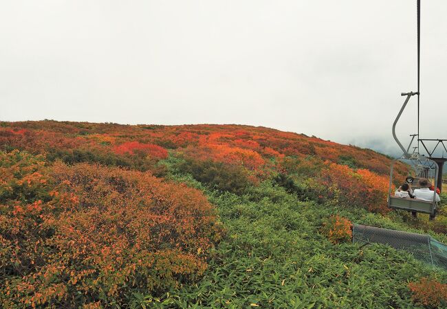 登山でも観光でも