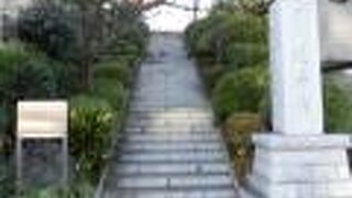 突然の景観にびっくりしてしまいました