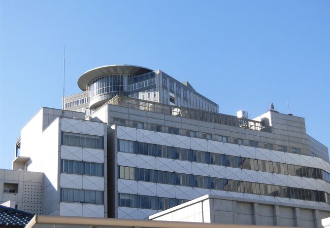 公園にいるような雰囲気の大学