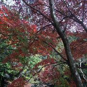 大宮公園