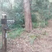 真鶴岬の森を歩く道