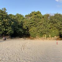 木々で蔽われている海岸からホテルへの入り口