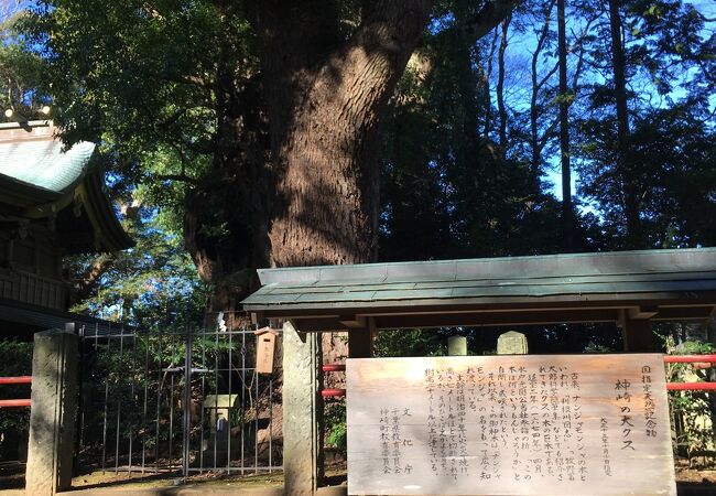 神崎神社