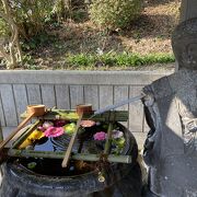 令和５年の初詣に行きました。諫早神社と梯子しました。