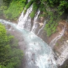 白ひげの滝