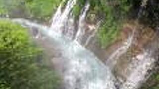 確かに白ひげっぽい