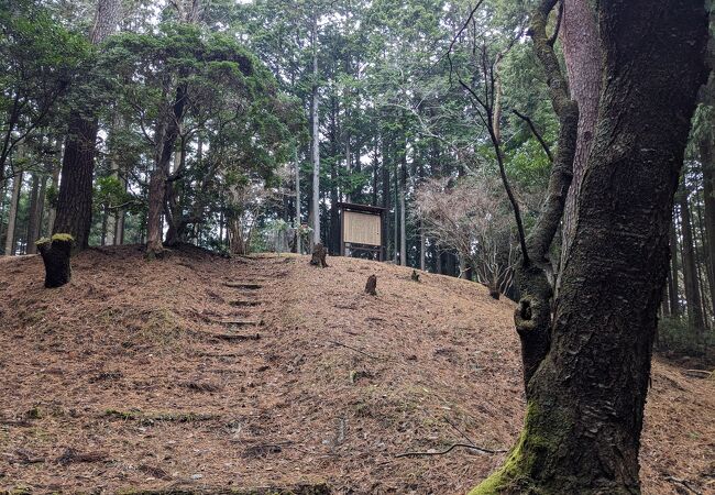 菟田の高城