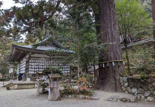 丹生川上神社三社めぐり