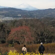 朝はくっきりしてたんですが着いた頃は富士山が霞んでいて残念で