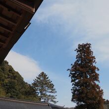 青空の見えるいい天気です。