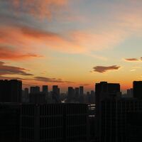 客室からの眺望