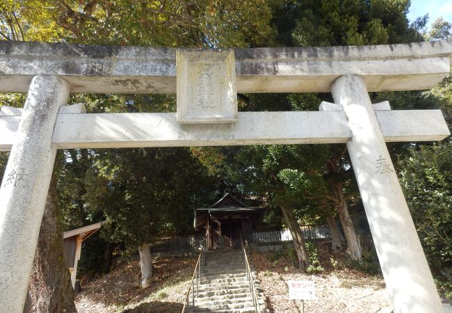 伊居太(いけだ)神社